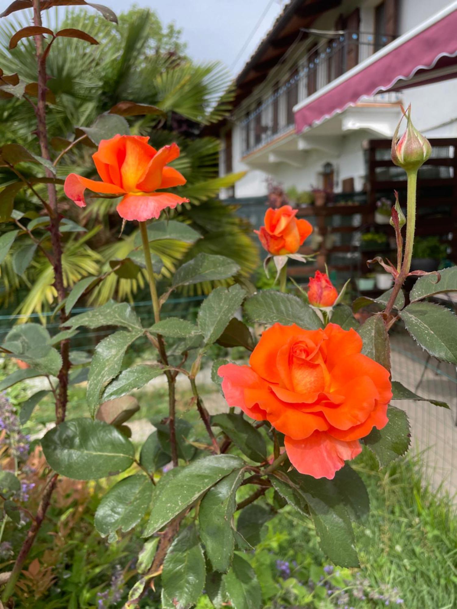 B&B Cascina Dei Levrieri Capriglio Zewnętrze zdjęcie