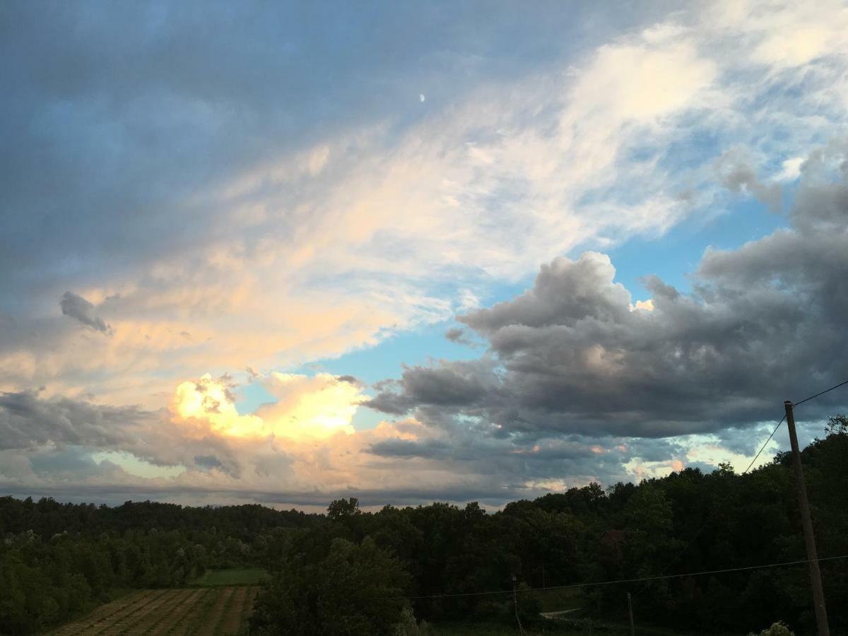 B&B Cascina Dei Levrieri Capriglio Zewnętrze zdjęcie