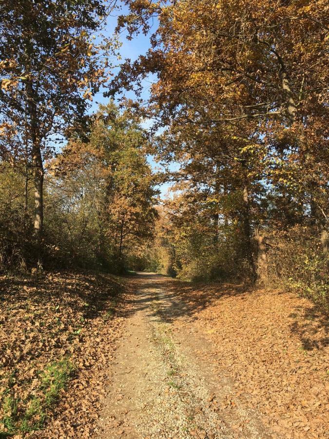 B&B Cascina Dei Levrieri Capriglio Zewnętrze zdjęcie